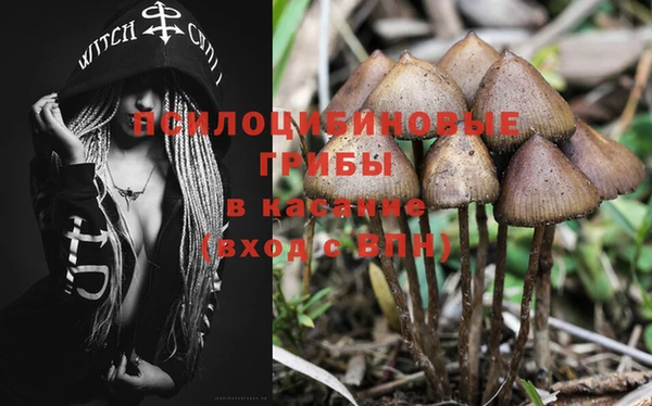 хмурый Алексин