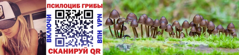 Псилоцибиновые грибы GOLDEN TEACHER площадка Telegram Тара