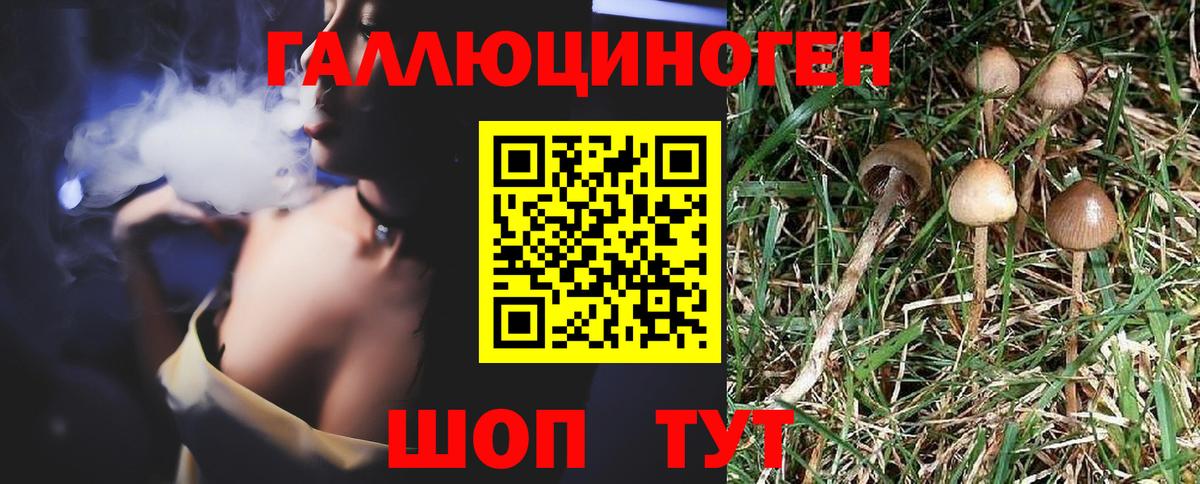 Галлюциногенные грибы мухоморы  где продают   Вход с VPN  Тара  Галлюциногенные грибы прущие грибы 